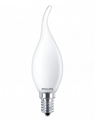 FLAMA PUNTA LED 25 W 2.700ºK