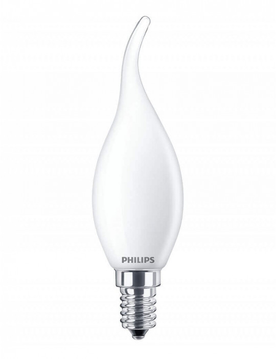 FLAMA PUNTA LED 25 W 2.700ºK