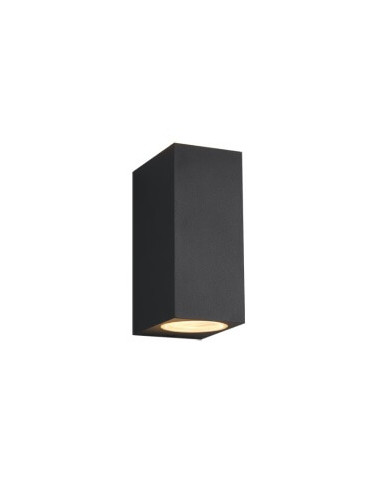 Roya C  IP44  Trio Lighting        2 x GU10 Antracita