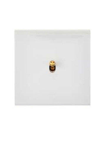 Confidence de Modelec    Pavonado