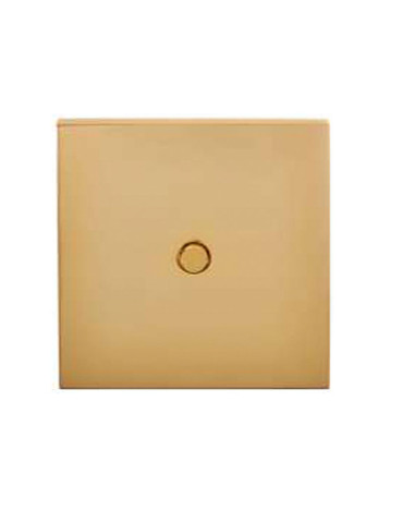 Confidence de Modelec    Dorado Espejo