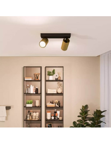 IDRIS 2  Focos  PHILIPS   IP44 GU10 no incl.