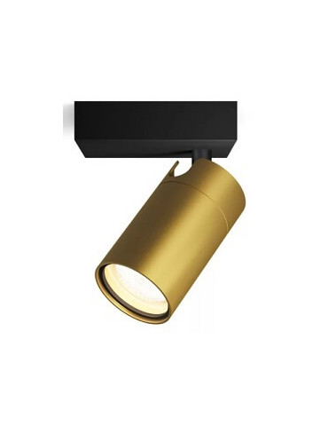 IDRIS 1  Foco  PHILIPS   IP44 GU10 no incl.